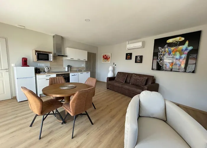 Yves Saint Laurent/ Coco Chanel Appartement Albi